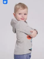 Худи для мальчика Kinderie Dino grey